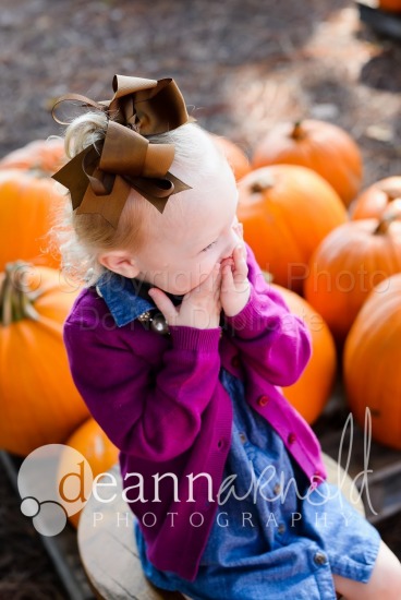 Kelley Pumpkin Patch