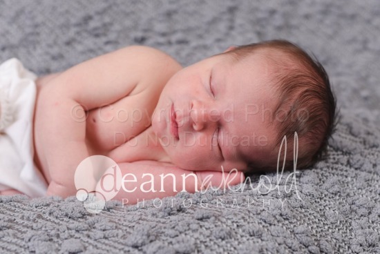 Harrison's Newborn Session