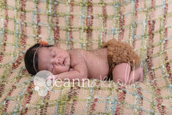 Mary-Michael's Newborns