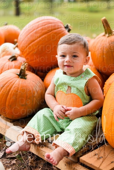 Cooper Pumpkin Patch