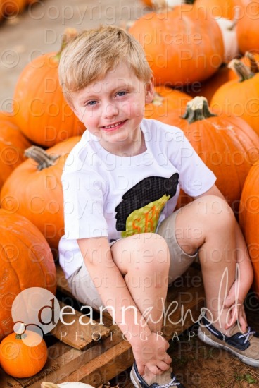 tlabarre@bellsouth.net