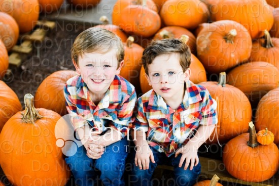 deliseatch@gmail.com