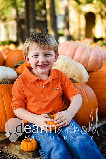 Pumpkin Patch -Enright