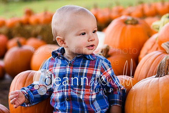 Pumpkin Patch-Hartman