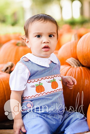 Pumpkin Patch-Salgado