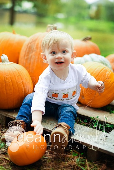 Holland Pumpkin Patch