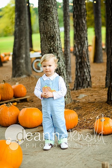 Moffett Pumpkin Patch