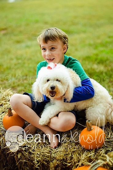 Williams Pumpkin Patch