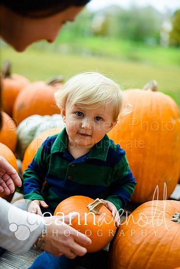 Fulco Pumpkin Patch