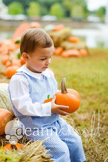 Noah Baker Pumpkin Patch