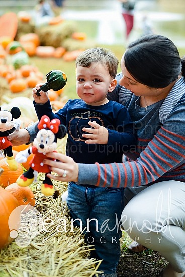 Person Pumpkin Patch