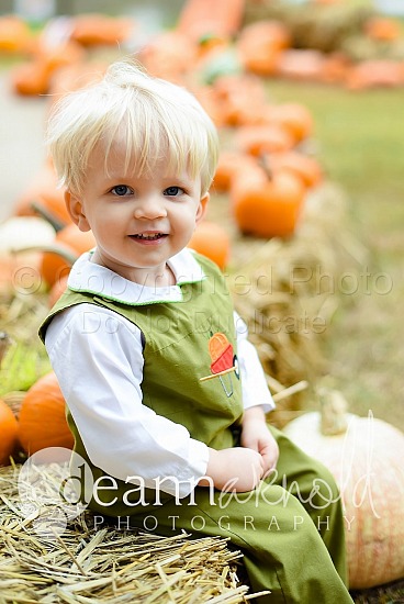 Pressly Pumpkin Patch