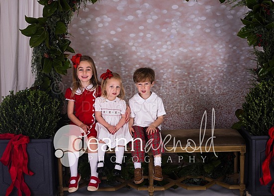 Santa 2019 lecieisrael@gmail.com